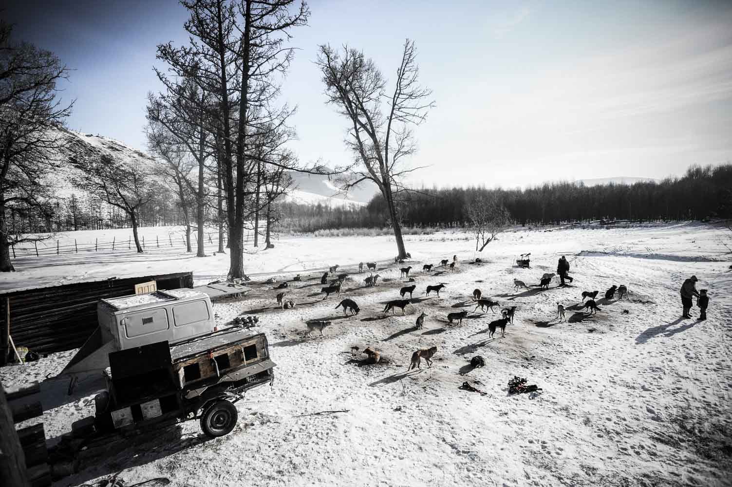 basile crespin photographe - reportage photo le musher des steppes, mongolie