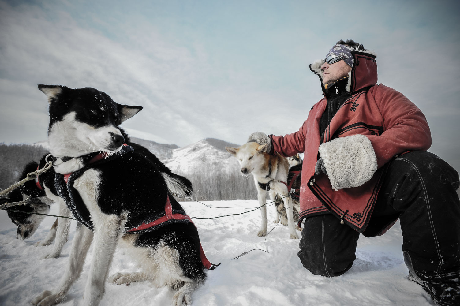 basile crespin photographe - reportage photo le musher des steppes, mongolie