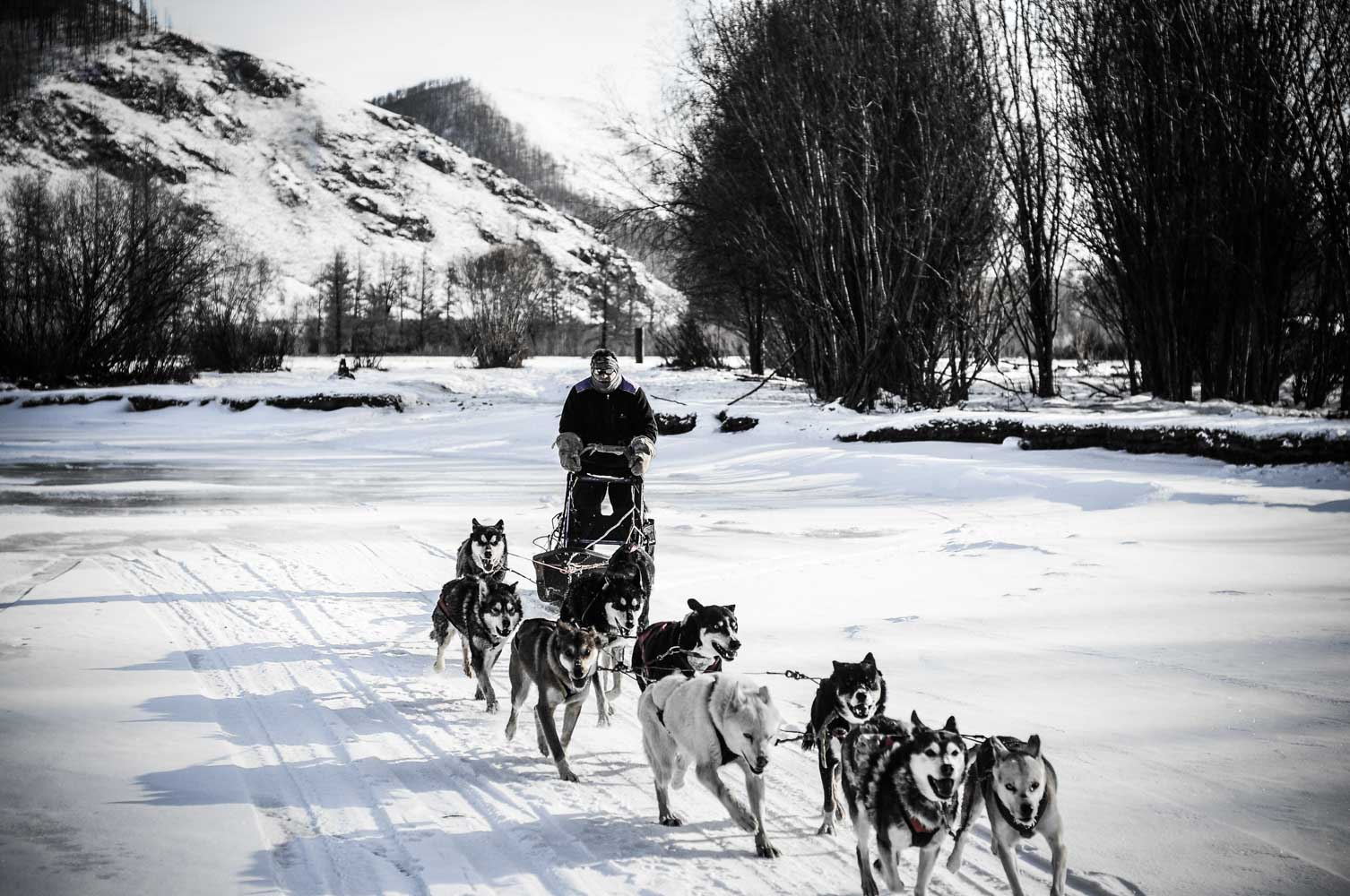 basile crespin photographe - reportage photo le musher des steppes, mongolie