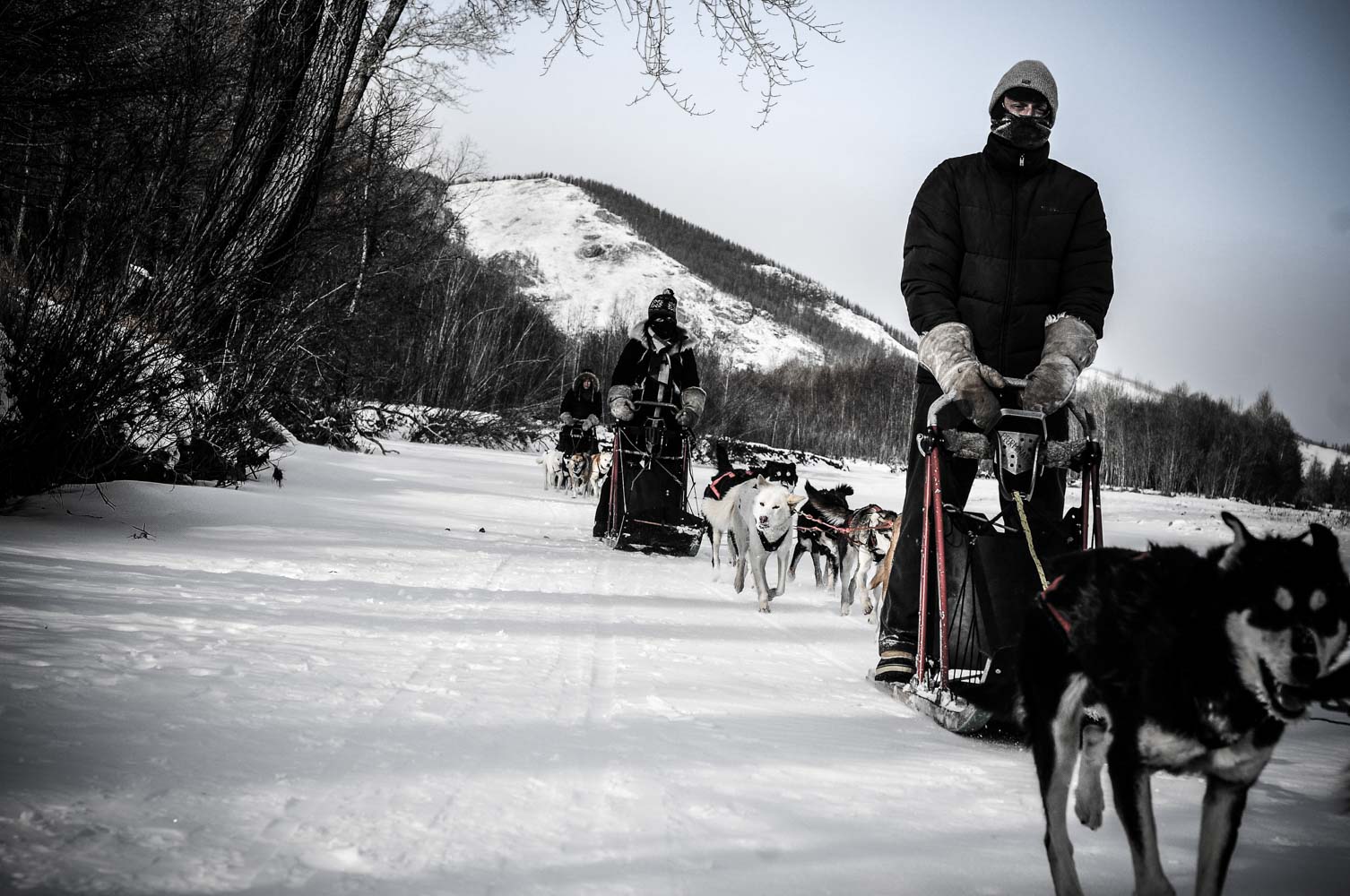 basile crespin photographe - reportage photo le musher des steppes, mongolie