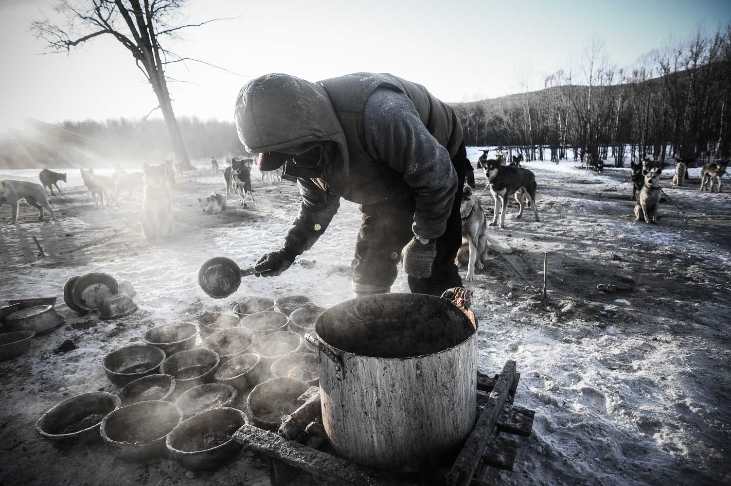 basile crespin photographe - reportage photo le musher des steppes, mongolie